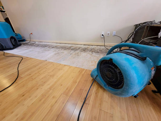 Professional Flood Damage Cleanup technician working in Harvey, LA